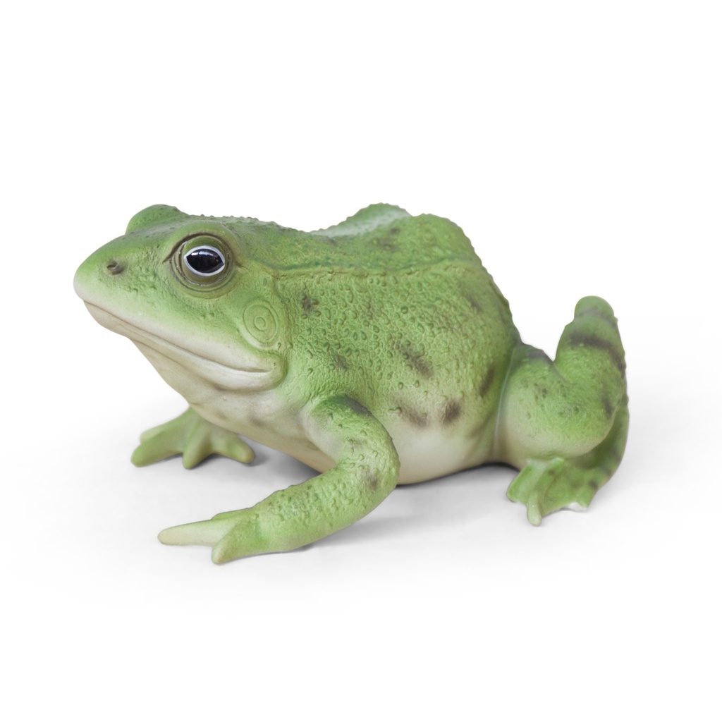 WEB-POLY FROG 15X12H8CM