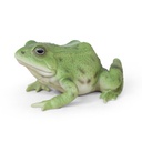 WEB-POLY FROG 15X12H8CM