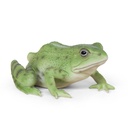 WEB-POLY FROG 15X12H8CM