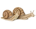 POLYRESINE ESCARGOT