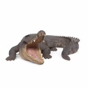 11154070 - GID - Ornaments - XXL Crocodile -8-1.jpg