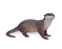 POLYRESINE LOUTRE MARCHANT