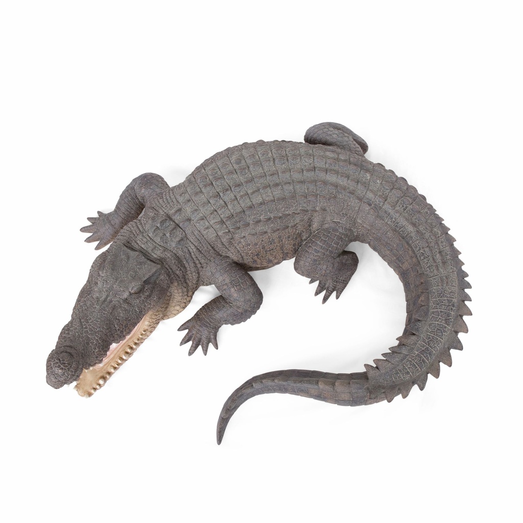 11154070 - GID - Ornaments - XXL Crocodile -13-1.jpg