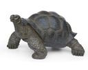 POLYRESINE TORTUE