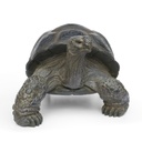 POLYRESINE TORTUE
