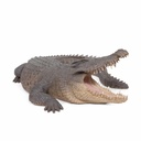 11154070 - GID - Ornaments - XXL Crocodile -2-1.jpg