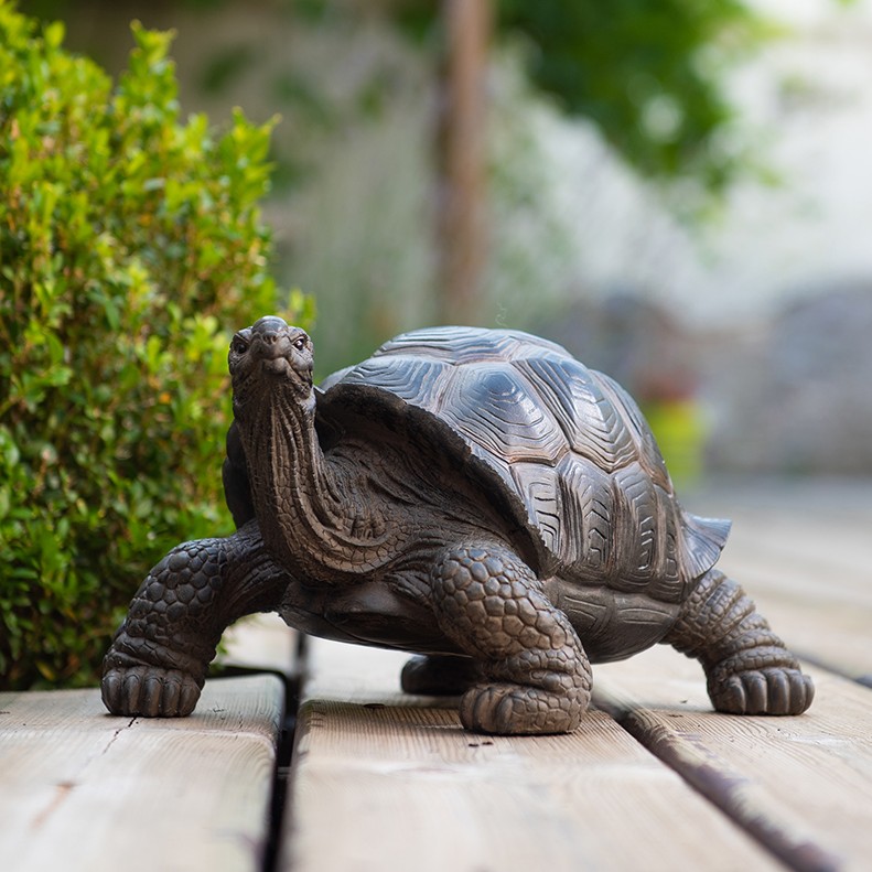 POLYRESINE TORTUE