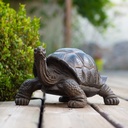 POLYRESINE TORTUE