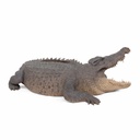 11154070 - GID - Ornaments - XXL Crocodile -3-1.jpg