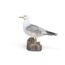 POLYRESINE MOUETTE