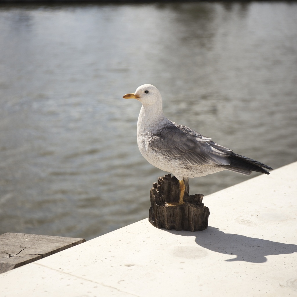 POLYRESINE MOUETTE