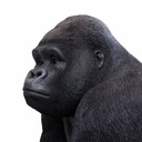 11154059 - GID - Ornaments - XXL Gorilla -9 -zoom3-1.jpg