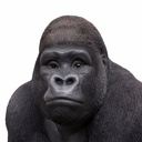 11154059 - GID - Ornaments - XXL Gorilla -7 -zoom1-1.jpg