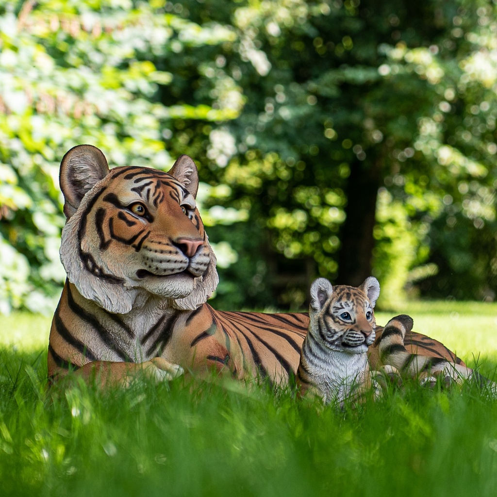 POLYRESINE TIGRE COUCHE