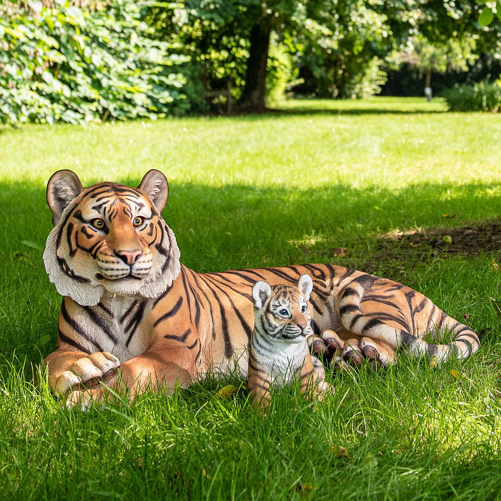 POLYRESINE TIGRE COUCHE
