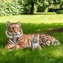 POLYRESINE TIGRE COUCHE