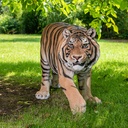 POLYRESINE TIGRE MARCHANT