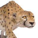POLYRESINE GUEPARD MARCHANT