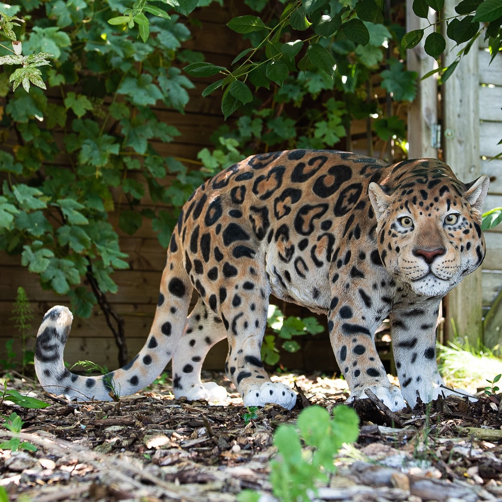 POLYRESINE LEOPARD MARCHANT