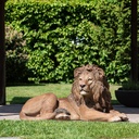 POLYRESINE LION COUCHE