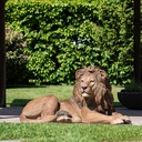POLYRESINE LION COUCHE