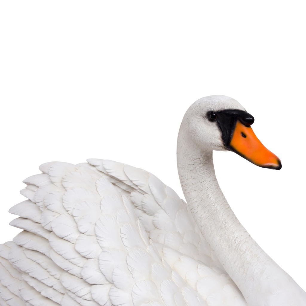 WEB-POLY SWAN