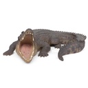 POLYRESINE CROCODILE XXL