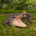POLYRESINE CROCODILE XXL