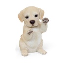 WEB-POLY LABRADOR PUPS