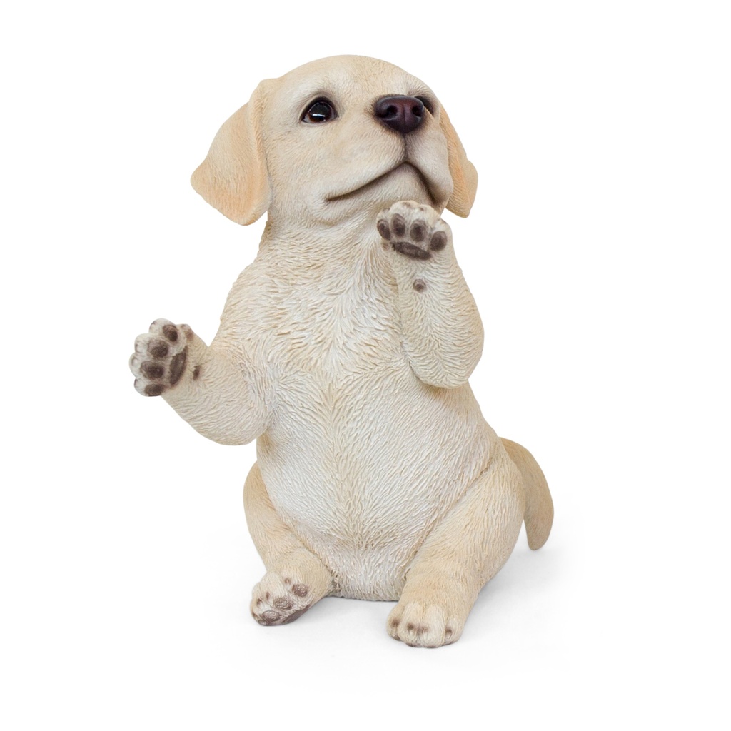 WEB-POLY LABRADOR PUPS
