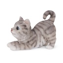 WEB-POLY MINI KITTENS