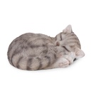 WEB-POLY MINI KITTENS