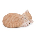 WEB-POLY MINI KITTENS