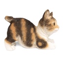 WEB-POLY PLAYING KITTENS 20X8H15CM