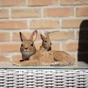 POLYRESINE LAPIN AVEC LAPEREAU