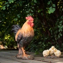 POLYRESINE COQ