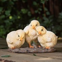 WEB-POLY SMALL CHICKS