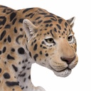 11154072 - GID - Ornaments - XXL Leopard -5 -zoom2-1.jpg