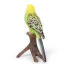 WEB-POLY BUDGERIGAR 10X8H17CM