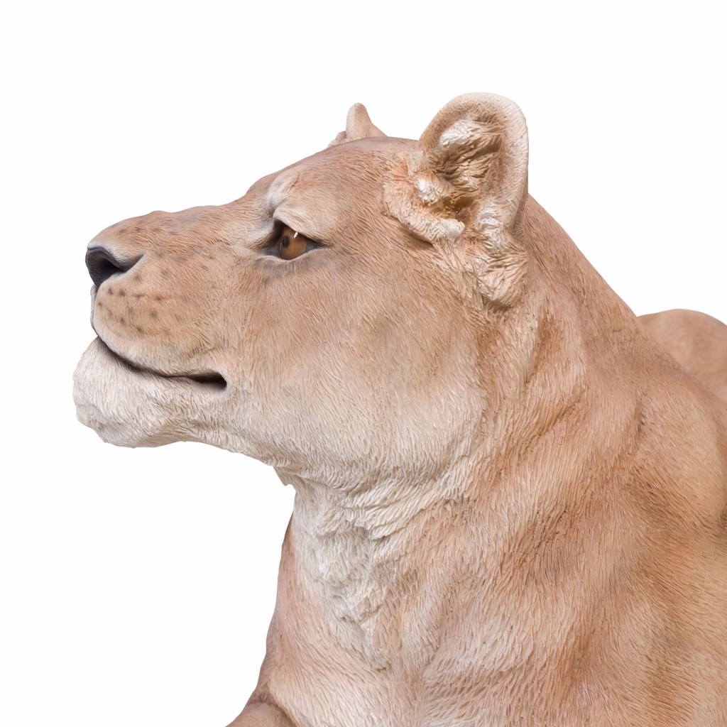11154056 - GID - Ornaments - XXL Lioness Lying -5 -zoom1-1.jpg