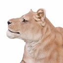 11154056 - GID - Ornaments - XXL Lioness Lying -5 -zoom1-1.jpg