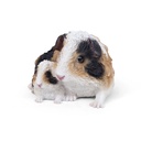 WEB-POLY GUINEA PIG WITH BABY 20X14H11CM