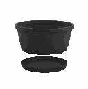 03202239 -rumba -2-1.png