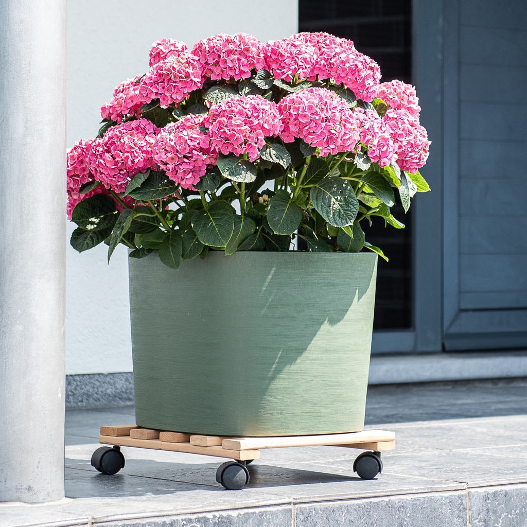 PLATEAU ROULETTES BOIS CARRE