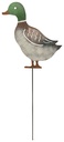 70702564 - duck pick.jpg