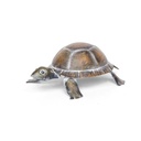 70701106 Mini Turtle 2 (1).jpg