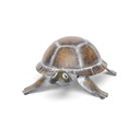 70701106 Mini Turtle 3.jpg