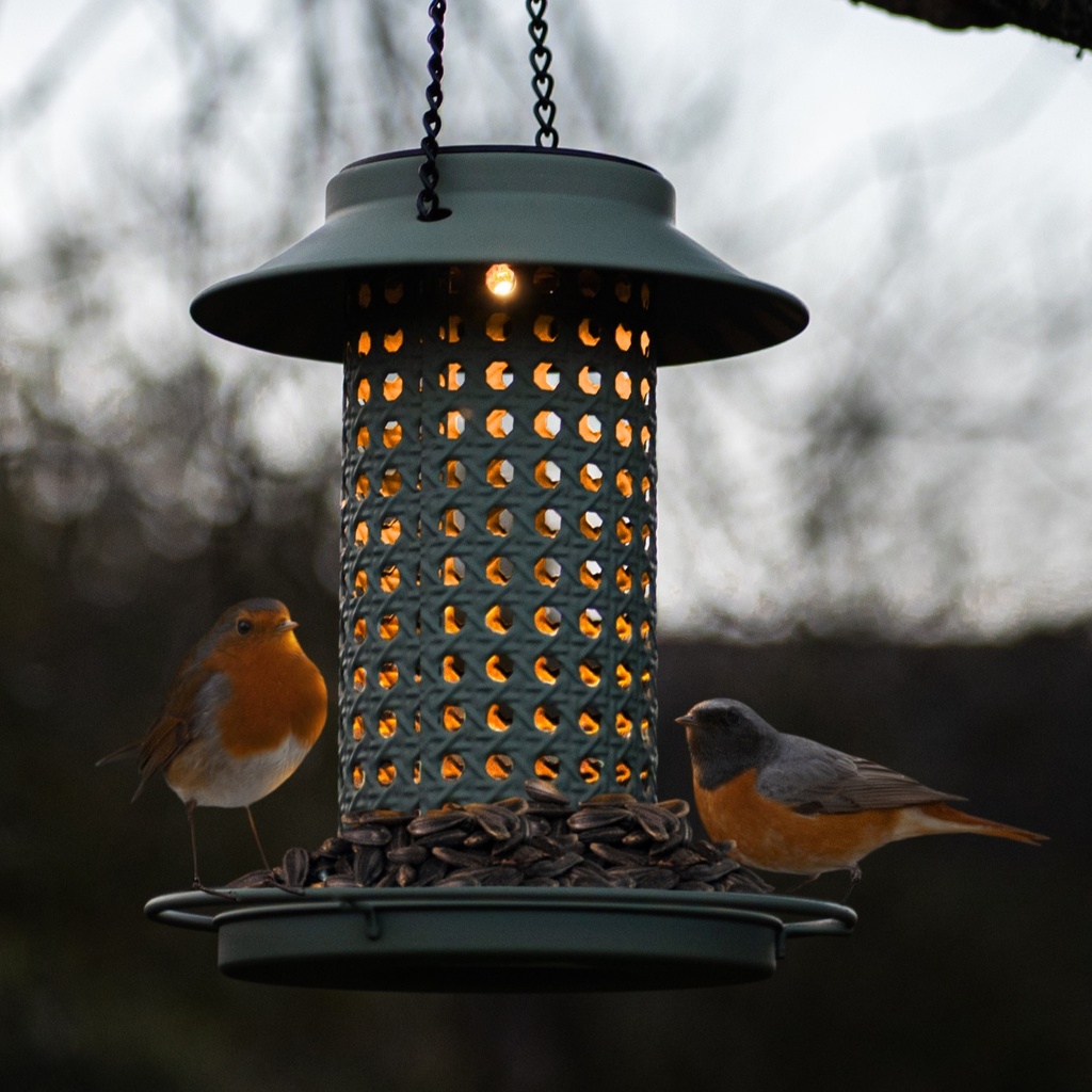 WEB-SOLAR BIRDFEEDER GROOVE Ø19h21cm
