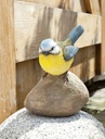 WEB-POLY BLUE TIT