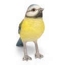 WEB-POLY BLUE TIT